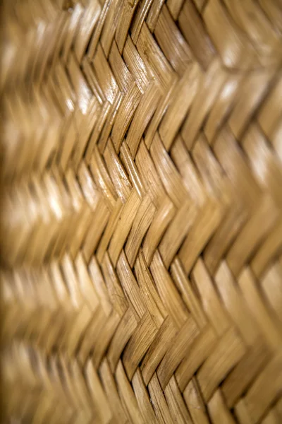 Retro bambusový vzor — Stock fotografie
