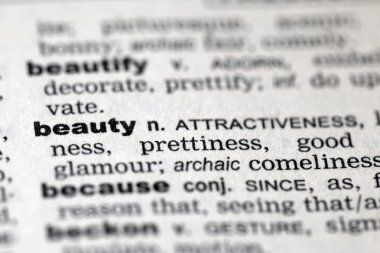 Sözlük ayrıntıları yakın çekim