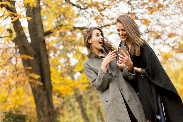 Bonitas mujeres jóvenes — Foto de Stock