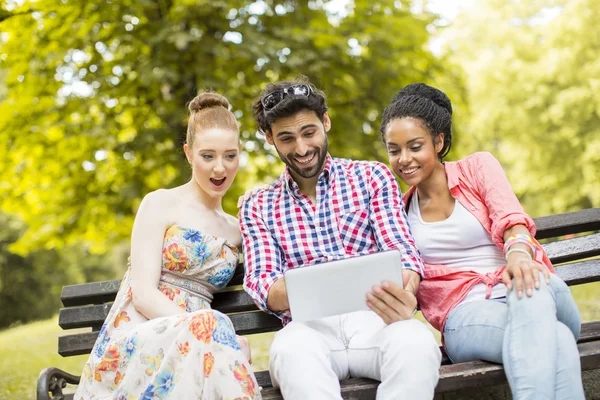 Friends on the bench in park — Stock Photo, Image