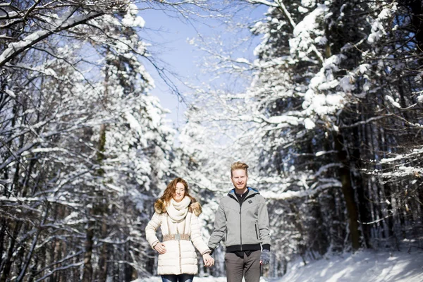 两人在冬季森林 — 图库照片