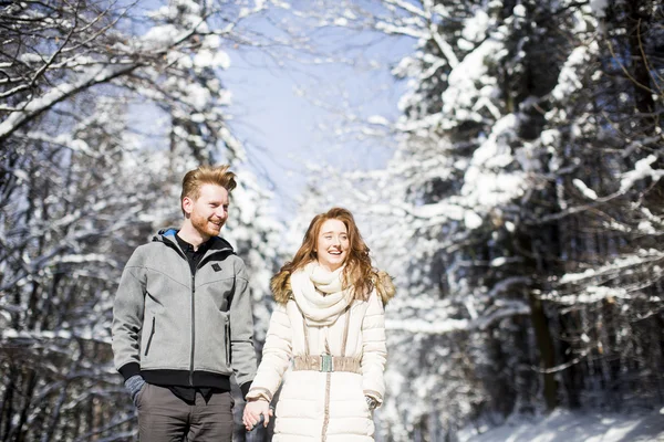 Casal na floresta de inverno — Fotografia de Stock