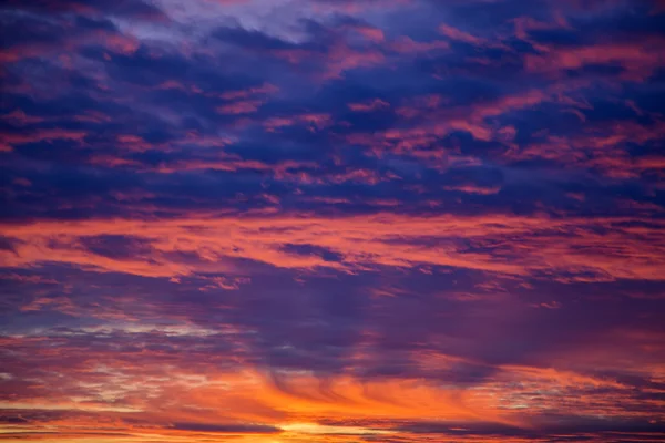 Vista al cielo rojo — Foto de Stock