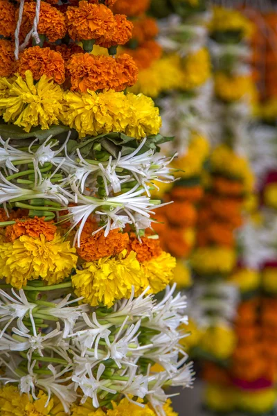Flores de caléndula en Mumbai — Foto de Stock