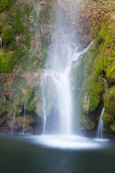 Pequeña cascada en el bosque — Foto de Stock