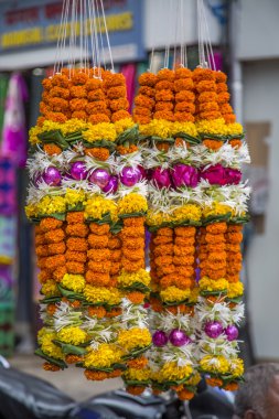 Kadife çiçeği çiçek Mumbai