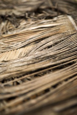 Kuru hurma yaprakları