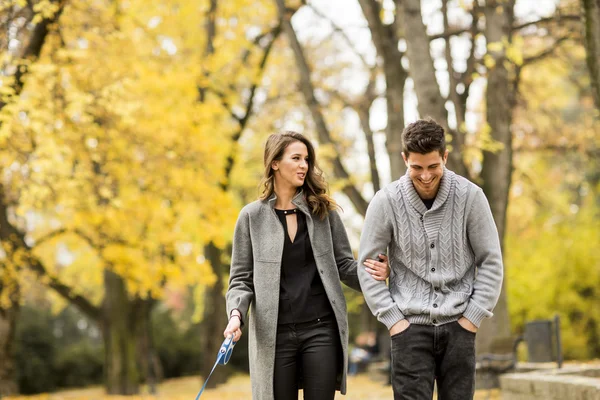 Jong stel in het park — Stockfoto