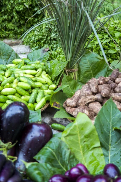 Produtos hortícolas frescos no mercado — Fotografia de Stock