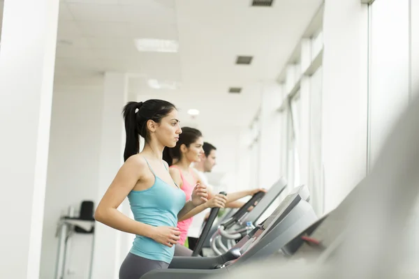 Personas entrenando en el gimnasio — Foto de Stock