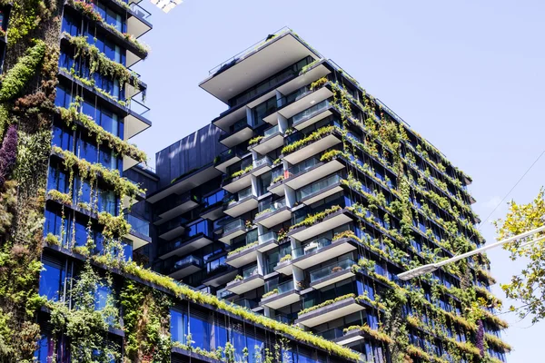Vertikale Gärten in Sydney — Stockfoto
