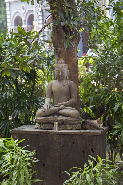 Buddha staty i Mumbai — Stockfoto