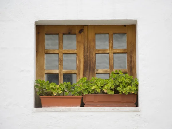 Holzfenster in alberobello — Stockfoto