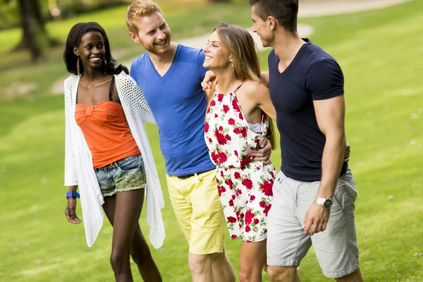 Young multiracial friends — Stock Photo, Image