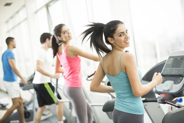 People training in the gym — Stock Photo, Image