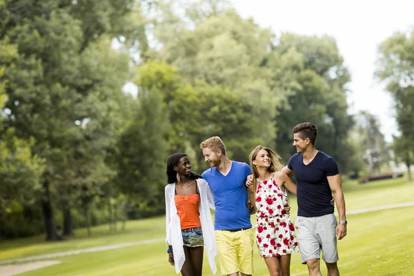 Jonge multiraciale vrienden in het park — Stockfoto