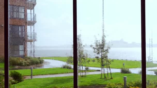 A vista no pátio da casa através da janela em um dia chuvoso — Vídeo de Stock