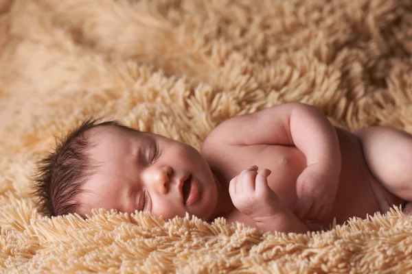 Newborn baby peacefully sleeping — Stock Photo, Image