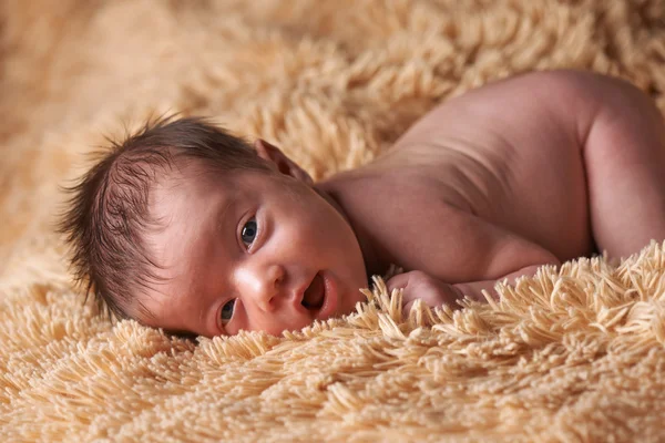 Newborn baby peacefully sleeping — Stock Photo, Image