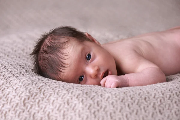 Newborn baby peacefully sleeping — Stock Photo, Image