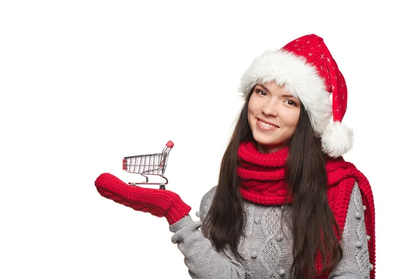 Christmas shopping concept — Stock Photo, Image