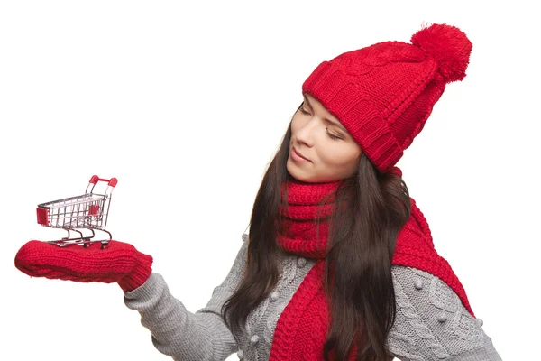 Winter winkelen concept — Stockfoto