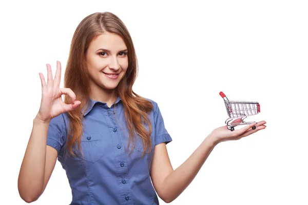 ショッピングの概念女性 — ストック写真