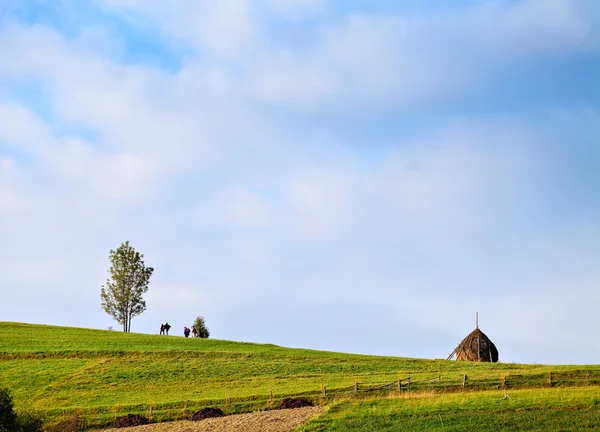 Groep mensen lopen op het groene hil — Stockfoto