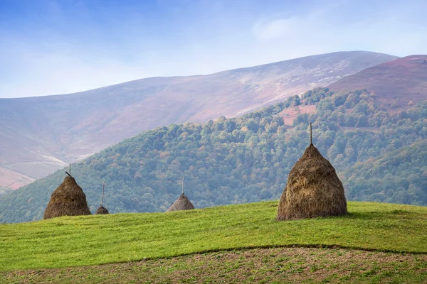 Heuhaufen auf grünen Wiesen, Berge im Hintergrund — Stockfoto