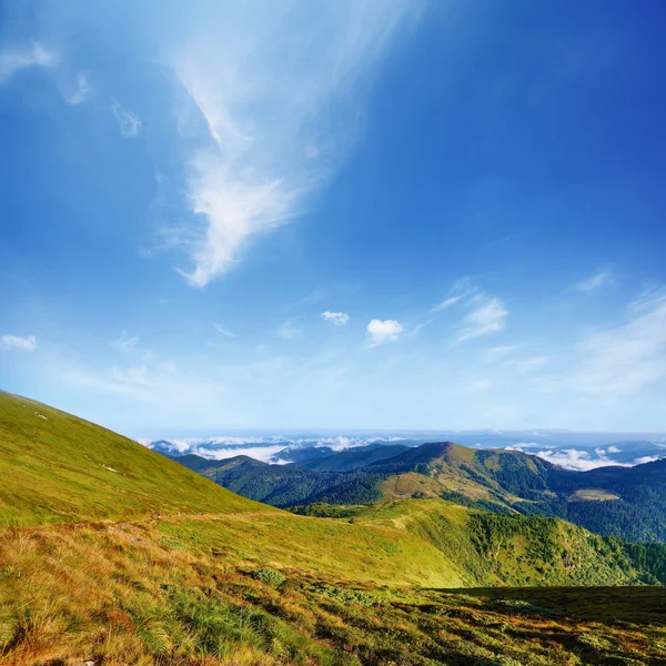 夏の日に山の風景 ロイヤリティフリーのストック画像