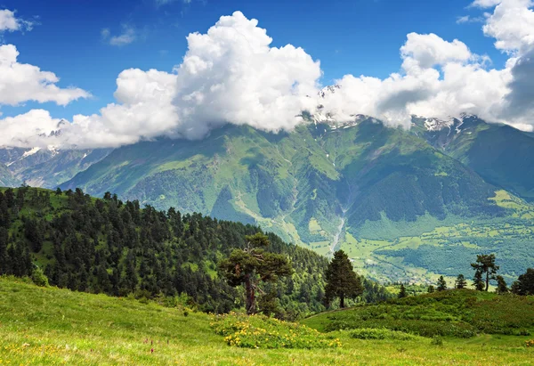Bellissimo paesaggio delle montagne del Caucaso Immagini Stock Royalty Free