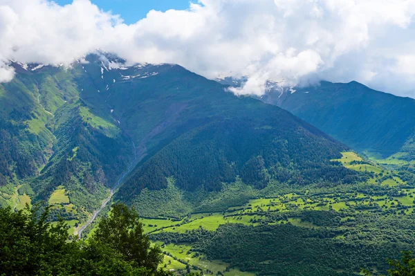 Paesaggio montano d'estate Caucaso Foto Stock