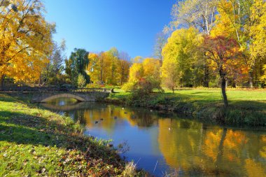 Nehirde yansıyan renkli ağaçlar ile sonbahar park