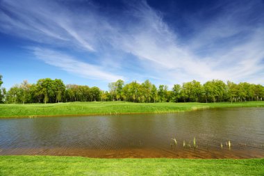 Yeşil çayır ve sakin Nehri