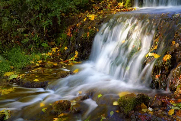 Pequena cachoeira com folhas de outono — Fotografia de Stock