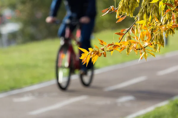 Pista ciclabile — Foto Stock