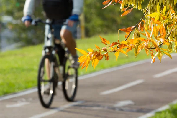 Bike path Stock Image