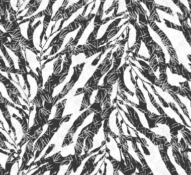 Doku ile beyaz kelp yosun siyah