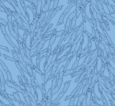 Mavi doku ile Kelp yosun mavi
