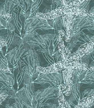 Yeşil yosun ile kabarcıklar ile deniz yıldızı