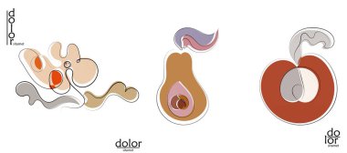 Soyut el çizimi vektör sanatsal logo seti beyaza izole edildi. Çizgi sanatsal çizim ve doku. Retro düz renkler organik doğal Eko gıda tasarımı. Organik sağlıklı vejetaryen karalaması..