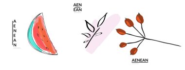 Yaratıcı evrensel karalamalar. İşaretli ve mürekkep desenli eğlenceli tasarım elementleri. Basit bir çizim stili. Kalem ve işaret çocuksu çizimler. Çocuk sanatı. Çocuk resimleri gibi, tasarım elementleri.