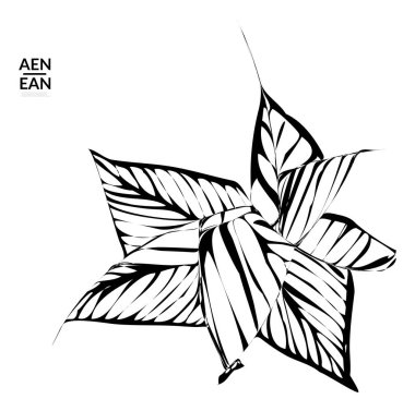 Soyut çizgili şekil. Optik sanat geçmişi. Siyah ve beyaz çizgili soyut tropikal çiçek ya da yaprak. Botanik vektör çizimi izole edildi. Çiçek tasarımı.