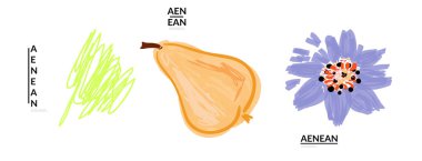 Yaratıcı evrensel karalamalar. İşaretli ve mürekkep desenli eğlenceli tasarım elementleri. Basit bir çizim stili. Kalem ve işaret çocuksu çizimler. Çocuk sanatı. Çocuk resimleri gibi, tasarım elementleri.