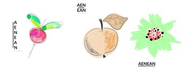Yaratıcı evrensel karalamalar. İşaretli ve mürekkep desenli eğlenceli tasarım elementleri. Basit bir çizim stili. Kalem ve işaret çocuksu çizimler. Çocuk sanatı. Çocuk resimleri gibi, tasarım elementleri.