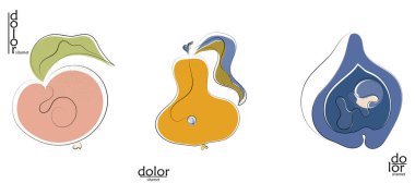 Soyut el çizimi vektör sanatsal logo seti beyaza izole edildi. Çizgi sanatsal çizim ve doku. Retro düz renkler organik doğal Eko gıda tasarımı. Organik sağlıklı vejetaryen karalaması..