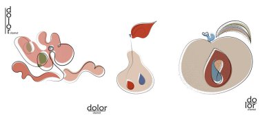 Soyut el çizimi vektör sanatsal logo seti beyaza izole edildi. Çizgi sanatsal çizim ve doku. Retro düz renkler organik doğal Eko gıda tasarımı. Organik sağlıklı vejetaryen karalaması..