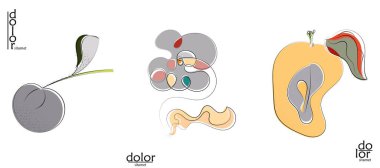Soyut el çizimi vektör sanatsal logo seti beyaza izole edildi. Çizgi sanatsal çizim ve doku. Retro düz renkler organik doğal Eko gıda tasarımı. Organik sağlıklı vejetaryen karalaması..