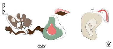 Soyut el çizimi vektör sanatsal logo seti beyaza izole edildi. Çizgi sanatsal çizim ve doku. Retro düz renkler organik doğal Eko gıda tasarımı. Organik sağlıklı vejetaryen karalaması..