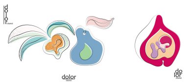 Soyut el çizimi vektör sanatsal logo seti beyaza izole edildi. Çizgi sanatsal çizim ve doku. Retro düz renkler organik doğal Eko gıda tasarımı. Organik sağlıklı vejetaryen karalaması..